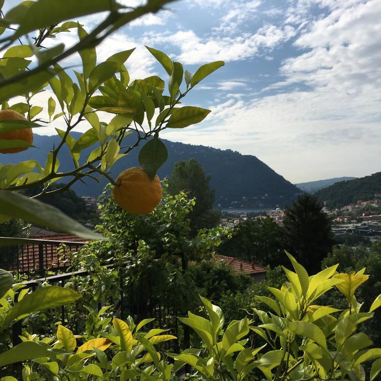 Country House Cozzena Maslianico Exterior photo